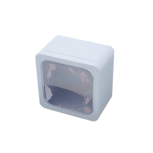 Boîte en métal rectangulaire vide de petite taille avec couvercle à fenêtres en PVC, boîte cadeau, produit en tôle - Product Image 2