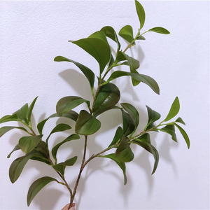 ขายส่ง<span class=keywords><strong>แพงพวย</strong></span>ประดิษฐ์ใบพืชสีเขียวพืชเทียมตกแต่ง - Product Image 3