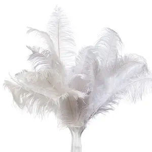 top sale 65-70cm pink ostrich feather from south Africa