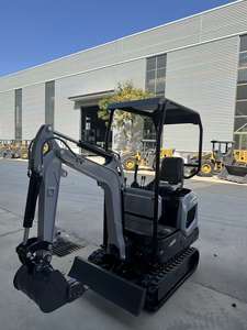 Little Rascal di Qualità: 1 Tonnellata Robusto e Affidabile, Motore Koop Power, 1 Anno di Garanzia per un Funzionamento Senza Preoccupazioni - Product Image 3