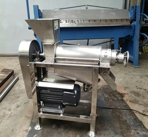Extracteur de jus de mangue Hydra, machine commerciale pour la production de lait de coco, machine à jus de pomme 220V - Product Image 4