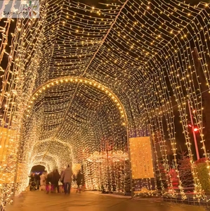 Tùy chỉnh trang trí <span class=keywords><strong>LED</strong></span> <span class=keywords><strong>String</strong></span> <span class=keywords><strong>Lights</strong></span> & treo <span class=keywords><strong>Lights</strong></span> đối với trong nhà ngoài trời lễ hội Home Mall trang trí nội thất - Product Image 5