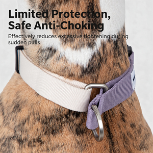 <span class=keywords><strong>Collare</strong></span> per Cani Regolabile Anti-Tiro e Anti-Soffocamento con Fibbia a Sgancio Rapido in Tessuto RPET Durevole e Anello a D in Metallo - Product Image 2