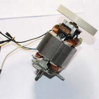 Chine fournisseur Micro 5430 moteur électrique moteur universel à courant alternatif pour mélangeur mélangeur mélangeur de viande broyeur 350w 5430 moteur de broyeur électrique