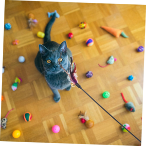 Jouets pour animaux de compagnie écologiques et amusants avec plumes, bâtonnet amusant pour chat, bâtonnet de chat, jouet pour chat - Product Image 2