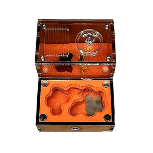Formicario para Cría de Hormigas, <span class=keywords><strong>Hormiguero</strong></span>, Nido para Colonias de Hormigas, para la Popularización de la Ciencia en la Escuela - Product Image 1