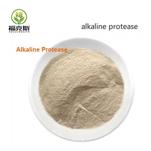 Enzima Alimentaria Proteasa Alcalina para Proteína Vegetal <span class=keywords><strong>de</strong></span> <span class=keywords><strong>Soja</strong></span>, Péptido Activo <span class=keywords><strong>de</strong></span> <span class=keywords><strong>Soja</strong></span>, Proteína en Polvo, Procesamiento <span class=keywords><strong>de</strong></span> Proteína <span class=keywords><strong>de</strong></span> <span class=keywords><strong>Soja</strong></span> - Product Image 3