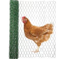 Filet pour volailles galvanisé 1 pouce x 1/2 pouce, clôture pour poulets, hexagonal, maille chaude de 3/4 pouce, rouleau de fil de fer pour poulets