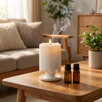 Diffuseur d'huiles essentielles portable rechargeable sans flamme, luminosité réglable, 3 modes d'intensité, sans eau, bougie aromatique