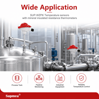 Anti-corrosion 316L Sheath Temperature Sensor for Chemical Liquid and Corrosive Medium Temperature Detection