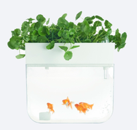 Système hydroponique numérique électronique compact pour la maison, alimenté par USB, jardin hydroponique, aquaponie, poissons pour la culture des plantes