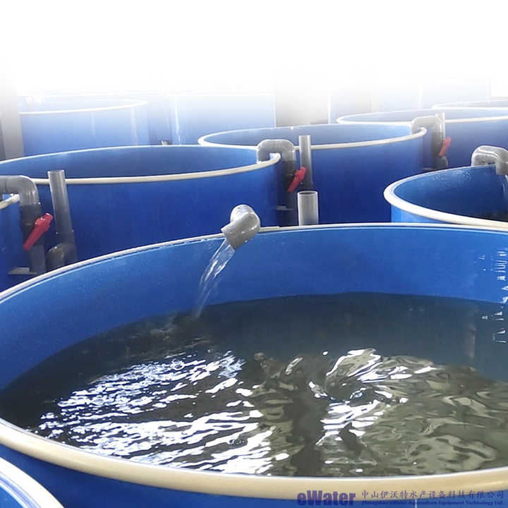 600m3 RAS Aquaculture System for Salmon Farming – Efficient Fish ...