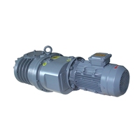 Bomba de Vacío de Hierro Fundido DLT LC250 de Baja Presión 250m³/h 2.2kW Trifásica Entrada ISO63 para Industria Química OEM Disponible
