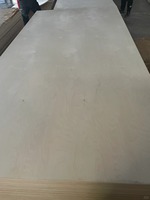 Meilleure qualité contreplaqué de bouleau 3mm-18mm feuille 1525*3050 bois naturel 100% contreplaqué de bouleau baltique design industriel pour cuisine hôtel