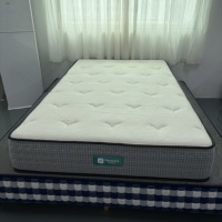 Kasur Elektrik Modern Mewah yang Dapat Disesuaikan dengan Fitur Pemanas & Tahan Lama, Kontrol Cerdas untuk Kamar Tidur Hotel, Sekolah, Rumah Sakit