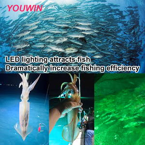 YOUWIN 1000 commerciale W & 1200W luce marina LED ad alta intensità luce grigia per la pesca in acqua salata IP66 classificato strumento di <span class=keywords><strong>pescatori</strong></span> - Product Image 6