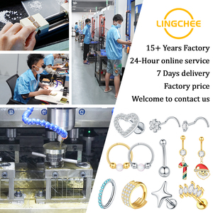 Lingchee G23 titane Zircon fer à cheval nez Piercings cerceau 16G oreille Septum hélice sourcil lèvre tour boucle d'oreille Cartilage Piercings - Product Image 6