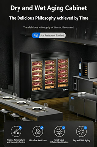 Gabinete <span class=keywords><strong>de</strong></span> Maduración <span class=keywords><strong>de</strong></span> Carne con Luz LED, Enfriador <span class=keywords><strong>de</strong></span> Aire, Control Digital <span class=keywords><strong>de</strong></span> Doble Temperatura, 3 Puertas, para Maduración en Seco <span class=keywords><strong>de</strong></span> Filetes, Ideal para Cocina/Restaurante - Product Image 2
