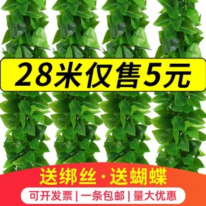 Vignes artificielles raffinées de type Pothos, 10cm-30cm, feuilles en plastique, ensemble de décoration murale - Product Image 5