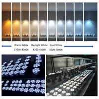 Homologué ETL UL-1993, 55W 60W LED PAR38 & 35W 40W LED PAR30 & Support de rail à 3 fils pour présentoirs de bijoux et de diamants, garantie 3 ans