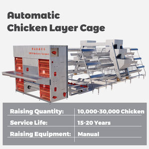 Système d'Élevage Avicole Automatique pour 10 000 Poules Ponduses, Cage à Poulets Étagée à 4 Niveaux pour la Production d'Œufs, à Vendre - Product Image 5