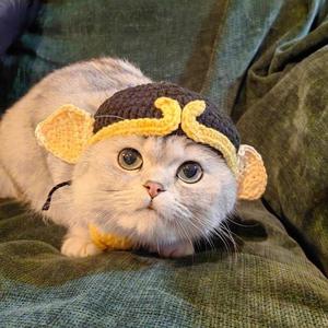 قبعة كرتونية للحيوانات الأليفة على شكل جرو أو قط، إكسسوارات للقطط، غطاء رأس محبوك للحيوانات الأليفة، قبعة تنكرية صديقة للبيئة على شكل ضفدع كرتوني مضحك للقطط - Product Image 1