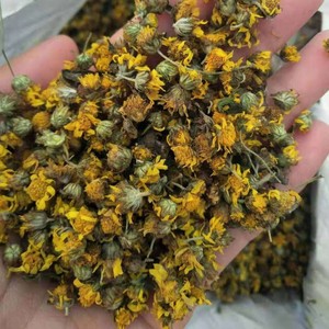 Crisantemo Silvestre Crudo y Limpio, Sin Pesticidas, Hierba Premium para Tés Desintoxicantes <span class=keywords><strong>Kampo</strong></span> Asiáticos, Ye Ju Hua - Product Image 6