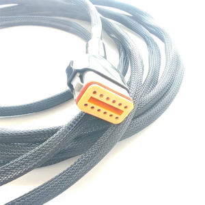 IATF16949 인증 전문 케이블 하네스 공급업체 12p DT06 DT12S 방수 커넥터 케이블 및 와이어 하네스 어셈블리(커버 포함) - Product Image 5