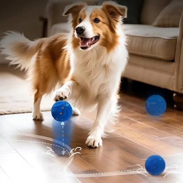 2026 New Interactive Dog Ball Rolls Randomly USB Rechargeable Automatically Rotate and Move Targets Suitable for All Dog Breed