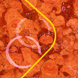 Restaurateur de marbre, kit de réparation du marbre, élimination des taches acides, réparation de la matité, restaurateur de pierre polie, détergent pour marbre et calcaire - Product Image 2