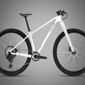 Bicicleta de Montaña Warriorpro-LT 29er de Fibra de Carbono, Directo de Fábrica, 12 Velocidades, Sistema de Transmisión M6100 M-M-M-WARRIORpro-LT de Alto Módulo - Product Image 1