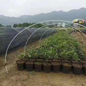 Tiges en fibre <span class=keywords><strong>de</strong></span> verre flexibles pour piquet <span class=keywords><strong>de</strong></span> plantes - Product Image 3