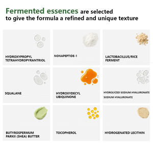 โลชั่นบำรุงผิวหน้า OEM เฟอร์เมนท์ไรซ์เปปไทด์ แอนตี้เอจจิ้ง ช่วยฟื้นฟูผิวอย่างล้ำลึก พร้อมโปรไซเลน บำรุงผิวให้กระชับและยกกระชับ - Product Image 2