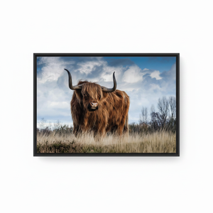 Printed Canvas Artwork: Highland Cow <b>Poster</b>, Scottish Animal Art,BLACK <b>FRAMED</b> CANVAS - Product Image 2