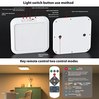 Lampe de placard rechargeable à détecteur de mouvement avec télécommande magnétique sans fil plafonniers pour placards douche garde-manger escaliers couloir