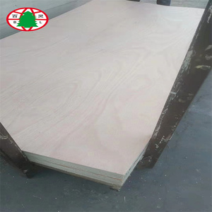 <span class=keywords><strong>Compensato</strong></span> <span class=keywords><strong>marino</strong></span> 6MM legno <span class=keywords><strong>compensato</strong></span> BS1088 - Product Image 6