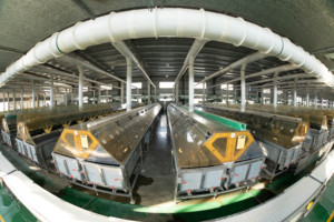 Batería de Plomo-Ácido E-Nice 12-100 de Energía Solar UPS EPS <span class=keywords><strong>AGM</strong></span> 12v 200ah - Product Image 5