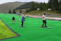 Expédition rapide d'usine vente directe de tapis de ski de pente sèche de neige artificielle