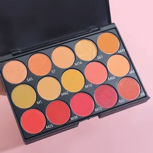 Sombra de olhos de plástico com pigmento rico e transparente para mulheres, paleta de sombras DIY personalizadas com 15 cores por atacado