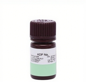Adenosina-5'-<span class=keywords><strong>difosfato</strong></span> de sodio de alta pureza ADP CAS 16178-48-6 para investigación bioquímica - Product Image 1