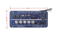 Özelleştirilebilir 12V/24V/220V HI-FI Subwoofer güç Amp USB uzaktan kumanda ile otomobiller için yüksek-güç amplifikatörü kurulu ekran