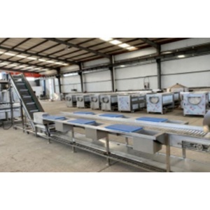 Machine économique pour la découpe, le lavage et le séchage de la laitue et <span class=keywords><strong>des</strong></span> <span class=keywords><strong>épinards</strong></span> - Product Image 2