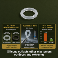 Joint torique en silicone de marque Dongting, résistant aux hautes températures (-60°C à 230°C), pour four et refroidissement de moteur, en caoutchouc moulé sur mesure, coloris rouge, noir, vert, diamètre extérieur (DE) personnalisé