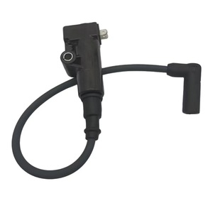 Bobina de Encendido Jilong 28140972 de un Solo Cilindro para Motocicleta Regalraptor350, Pieza de Repuesto - Product Image 1