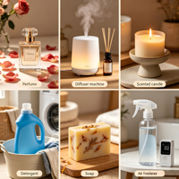 Huile parfumée boisée en gros, longue durée, essence de parfum bois de santal et cèdre, prête pour l'étiquetage privé et l'emballage OEM