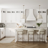 Armoires de cuisine à vendre, conception 2D et 3D gratuite, armoires de cuisine personnalisées, armoires de cuisine modulaires de style Shaker avec ensemble de comptoirs
