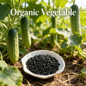 <span class=keywords><strong>Engrais</strong></span> organique pour oignon, concombre, laitue, asperges, conditionneur de sol à libération lente NPK 12-1-1 - Product Image 1