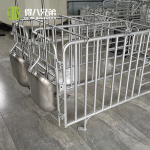 Nouvelle Étable de Gestation pour Truies Sevrées et en Gestation, en Acier Galvanisé à Chaud, Équipement d'Élevage Porcin à Longue Durée de Vie - Product Image 4