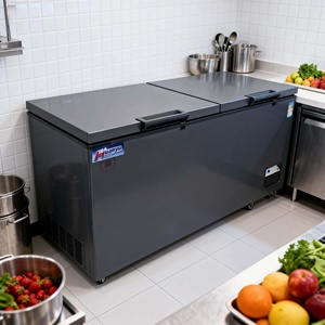Congélateur commercial <span class=keywords><strong>de</strong></span> coffre <span class=keywords><strong>de</strong></span> refroidissement par air pour le stockage d'aliments surgelés et <span class=keywords><strong>de</strong></span> crème glacée - Product Image 2