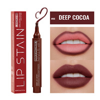 Teinte à lèvres liquide haute pigmentation, lèvres lisses, crayon teinté et contour des lèvres, 6 teintes, personnalisable, waterproof, longue tenue, gloss minéral